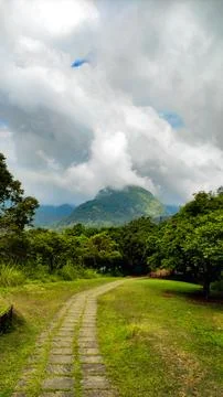 Serene Stone Path Through the Lush Silent Valley National park, Indias Rare.. Stock Photos