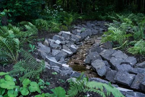 A Serene Stone Path That Winds Through A Lush Fern Landscape, Inviting Peaceful Stock Photos