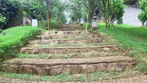 Serene stone staircase winding through lush green park with trees and foliage 스톡 동영상 331729063