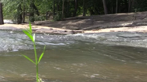 Serene Stream and Rocks Stock Footage 51354463