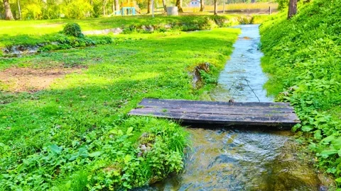 Serene Stream Beauty 库存影片 296616005