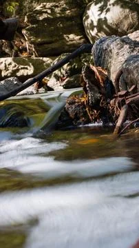 A Serene Stream Captured From A Low Angle, Showcasing Flowing Water 스톡 사진