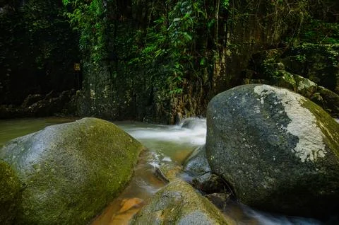 Serene Stream Flow Through Mossy Rocks and Dense Forest Vegetation Stock Photos