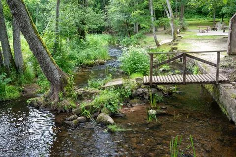 A Serene Stream Flowing Gently Through Lush Greenery, Spanning a Beautiful Foto stock