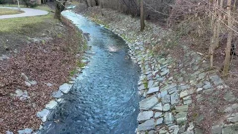 A Serene Stream is Flowing Gracefully Through a Beautifully Tranquil Landsc.. Stock Photos