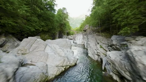 Serene Stream Flowing Through Lush Green Forest in Mountains Video stock 277798222