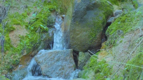 A Serene Stream Flowing Through Lush Green Nature Stock Footage 280453850
