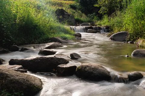 Serene Stream Flowing Through Lush Greenery with Smooth Rocks and Gentle Wa.. Foto stock