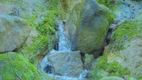 A Serene Stream Flowing Through Mossy Rocks in Nature's Quiet Corner Stock Footage 280453847