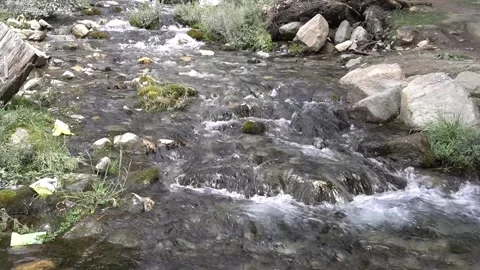 Serene stream flowing through rocky landscape with greenery and trash Video stock 330317155