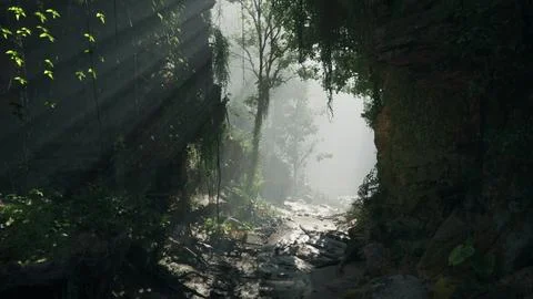 A serene stream flowing through a vibrant green forest. mountain path イラスト素材