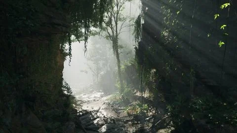 A serene stream flowing through a vibrant green forest Stock Illustration