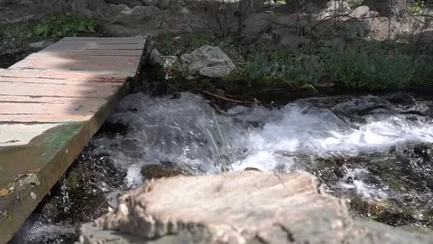 Serene stream flowing under rustic wooden bridge in nature landscape Video stock 330317156