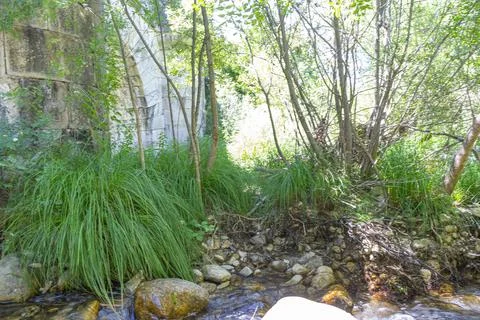 A serene stream flows beneath the Puente del Perdn, surrounded by lush gree.. Stock Photos