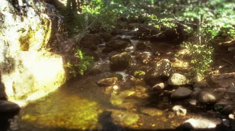Serene stream Stock Footage 32370930