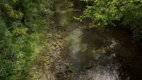Serene stream in forest Stock Footage 140363984