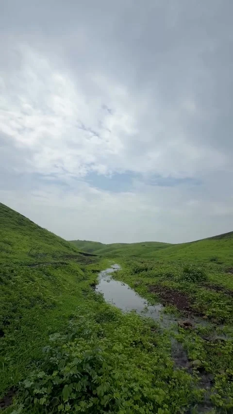 Serene Stream Through Lush Green Hills Stock Footage 340871108