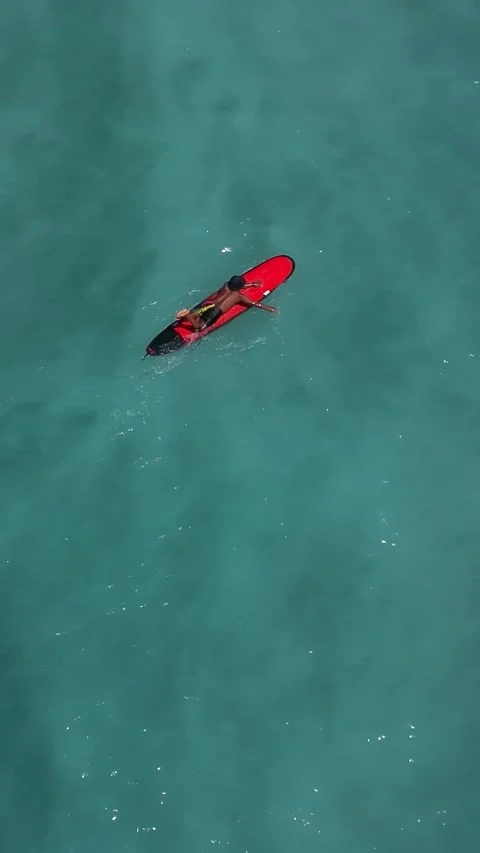 Serene summer scene featuring single paddler in bright water Vidéo 332872611
