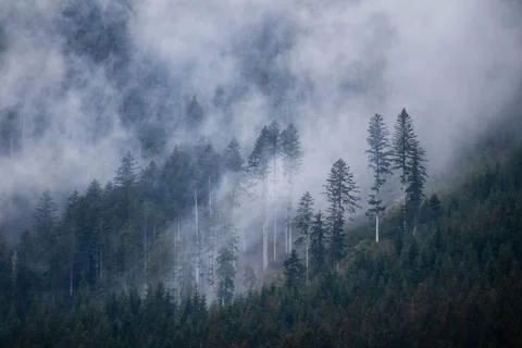 Serene Sunrays Over the Mountain Stock Photos