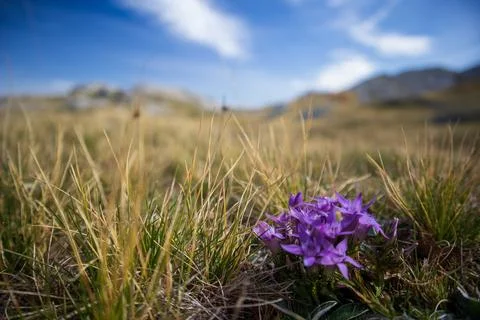 Serene Sunrays Over the Mountain Stock Photos