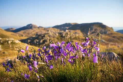 Serene Sunrays Over the Mountain Stock Photos