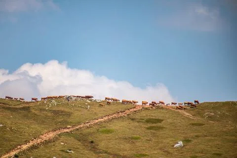 Serene Sunrays Over the Mountain Stock Photos