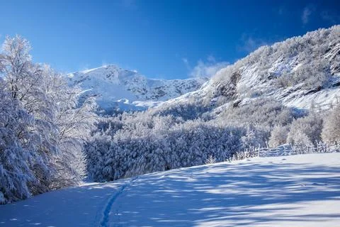 Serene Sunrays Over the Mountain Stock Photos