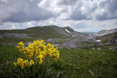 Serene Sunrays Over the Mountain Stock Photos
