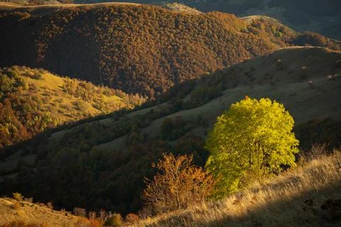 Serene Sunrays Over the Mountain Stock Photos