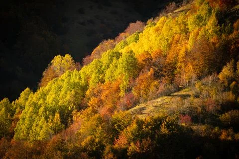 Serene Sunrays Over the Mountain Stock Photos
