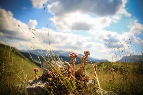 Serene Sunrays Over the Mountain Stock Photos