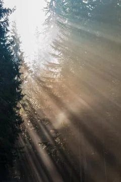 Serene Sunrays Over the Mountain Stock Photos