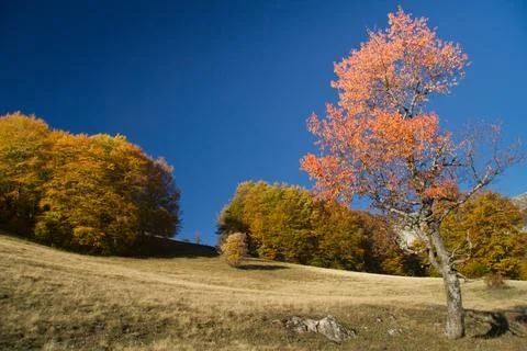 Serene Sunrays Over the Mountain Stock Photos