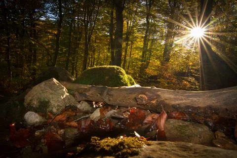 Serene Sunrays Over the Mountain Stock Photos