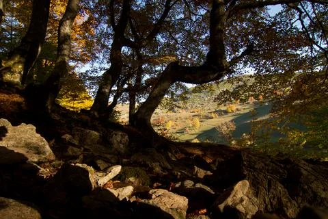 Serene Sunrays Over the Mountain Stock Photos