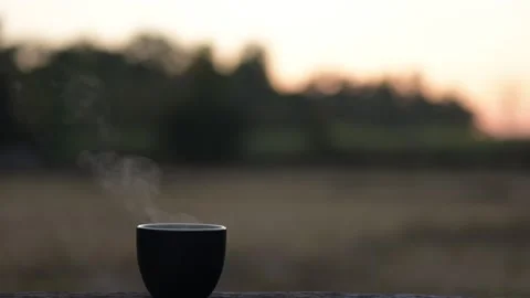 Serene Sunrise Scene Featuring a Steaming Coffee Cup in a Tranquil Nature Stock Footage 296668337