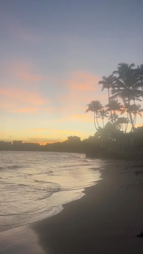 Serene Sunset at the Beach with Gentle Waves, Palm Trees and Cityscape Video stock 304008829