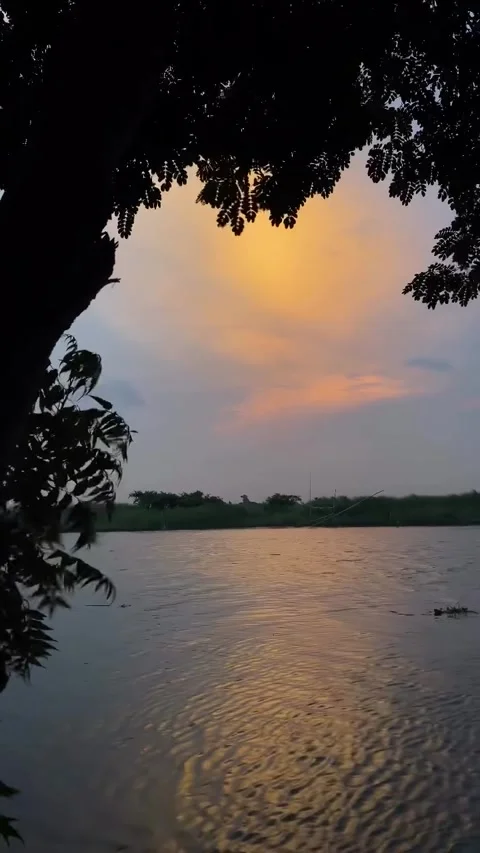 Serene Sunset Lake Framed by Tree Branches Video stock 341630035