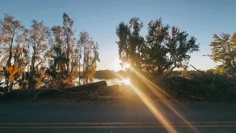 Serene Sunset at Lake with Light Rays Through Tree Branches Stock Footage 295662859