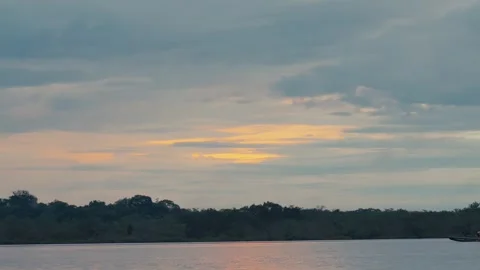 A serene sunset over a calm river with dense rainforest in the background in Stock Footage 345157945