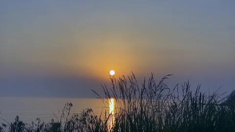 Serene sunset over calm water with silhouettes of tall grass in foreground Stock Footage 302073744