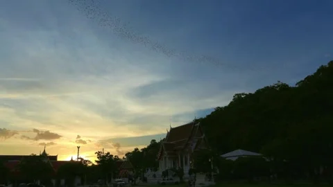 Serene Sunset Over Hillside Temple Silhouette Video stock 311530127