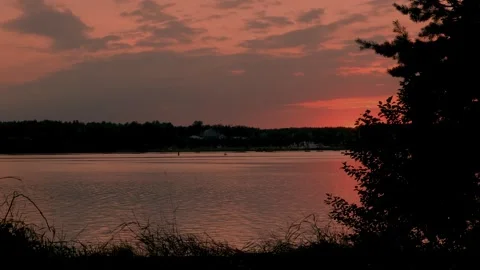 A Serene Sunset Over a Tranquil Lake Surrounded by Beautifully Silhouetted Trees Stock Footage 313594022