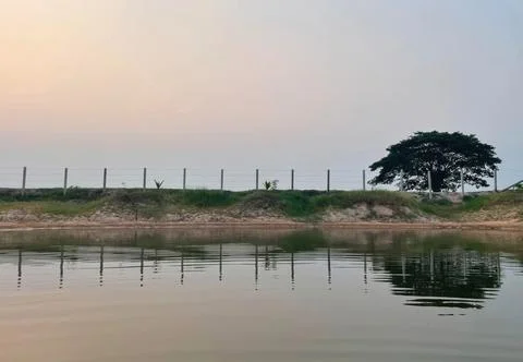 Serene Sunset Reflection of a Tree and Barbed Wire Fence on Calm Pond Stock Photos