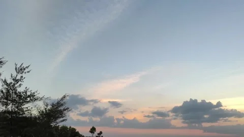 Serene Sunset Sky with Wispy Clouds and Tree Silhouettes Stock Footage 341505784