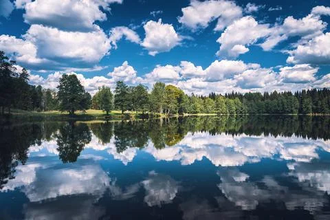 The serene surface of the lake with a reflection of clouds and trees. Seliger Stock Photos