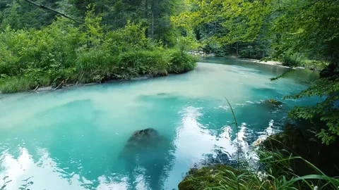 Serene Teal River Winding Through Lush Green Forest Stock Footage 302308902