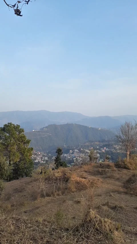 Serene Temple Amid Greenery with Distant City Skyline Video stock 327775904
