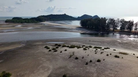 Serene tidal flats at low tide feature shallow water channels Stock Footage 337986975