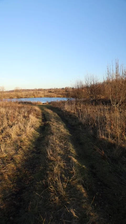 A Serene Trail Lined by Water Beneath a Clear Blue Sky Awaits for Exploration Stock Footage 291989251